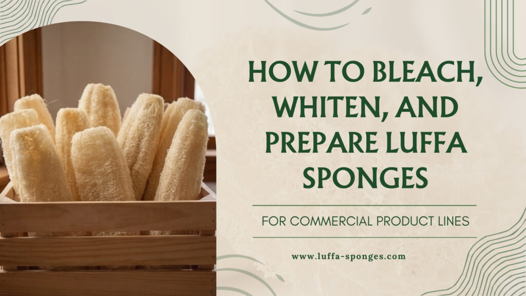 Bleach Whiten Luffa Sponge Commercial Guide 2026 luffa-sponges