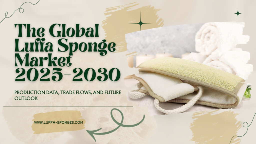 Global Luffa Sponge Market 2025 Outlook Trends and Data luffa-sponges