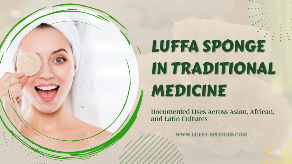 Luffa Sponge Traditional Medicine Uses Across Cultures 2026 luffa-sponges