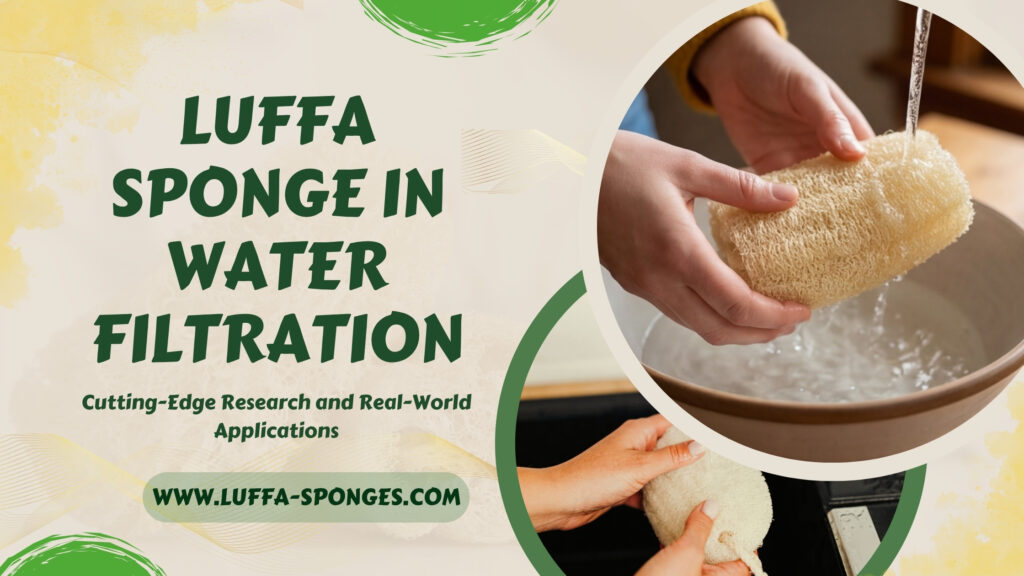 Luffa Sponge Water Filtration Research Guide 2026 luffa-sponges
